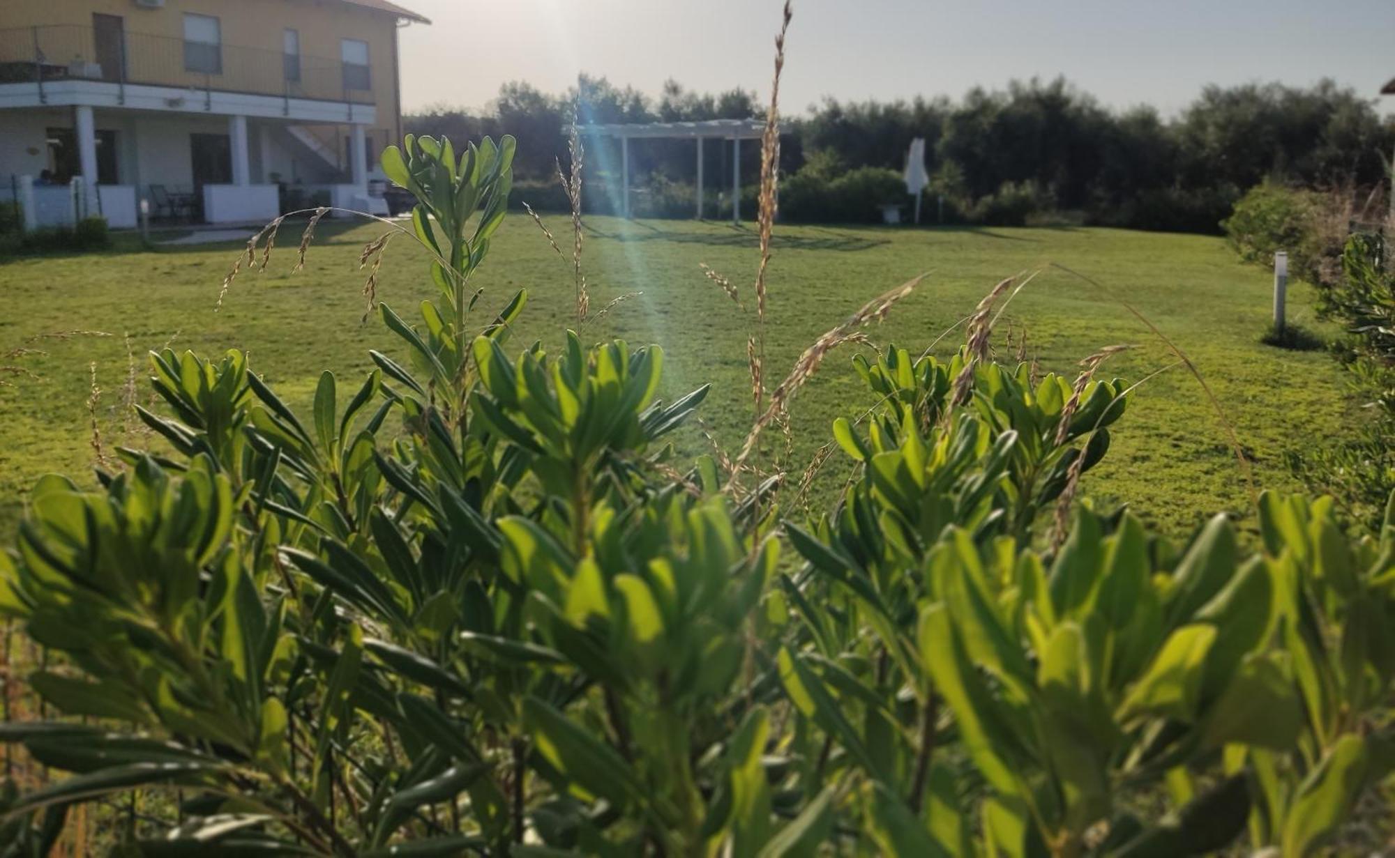 Natura E Mente Camere E Relax Vasto Eksteriør billede